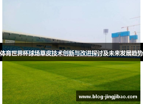 体育世界杯球场草皮技术创新与改进探讨及未来发展趋势
