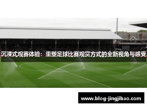 沉浸式观赛体验：重塑足球比赛观赏方式的全新视角与感受
