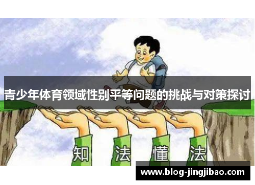 青少年体育领域性别平等问题的挑战与对策探讨
