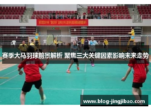 赛季大马羽球前景解析 聚焦三大关键因素影响未来走势