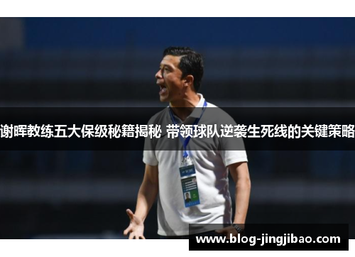 谢晖教练五大保级秘籍揭秘 带领球队逆袭生死线的关键策略