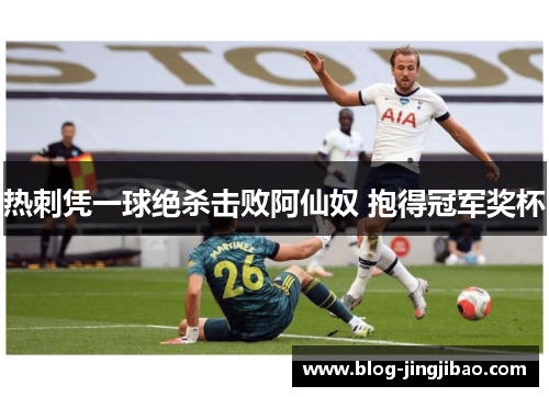 热刺凭一球绝杀击败阿仙奴 抱得冠军奖杯