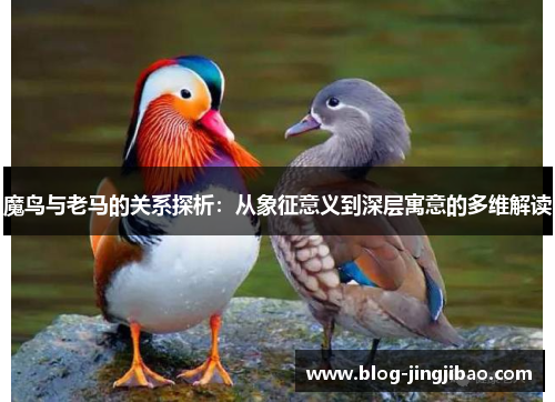 魔鸟与老马的关系探析：从象征意义到深层寓意的多维解读