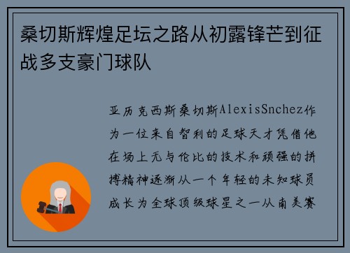 桑切斯辉煌足坛之路从初露锋芒到征战多支豪门球队 桑切斯辉煌足坛之路从初露锋芒到征战多支豪门球队